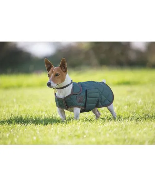 Digby & Fox Quilted Dog Coat