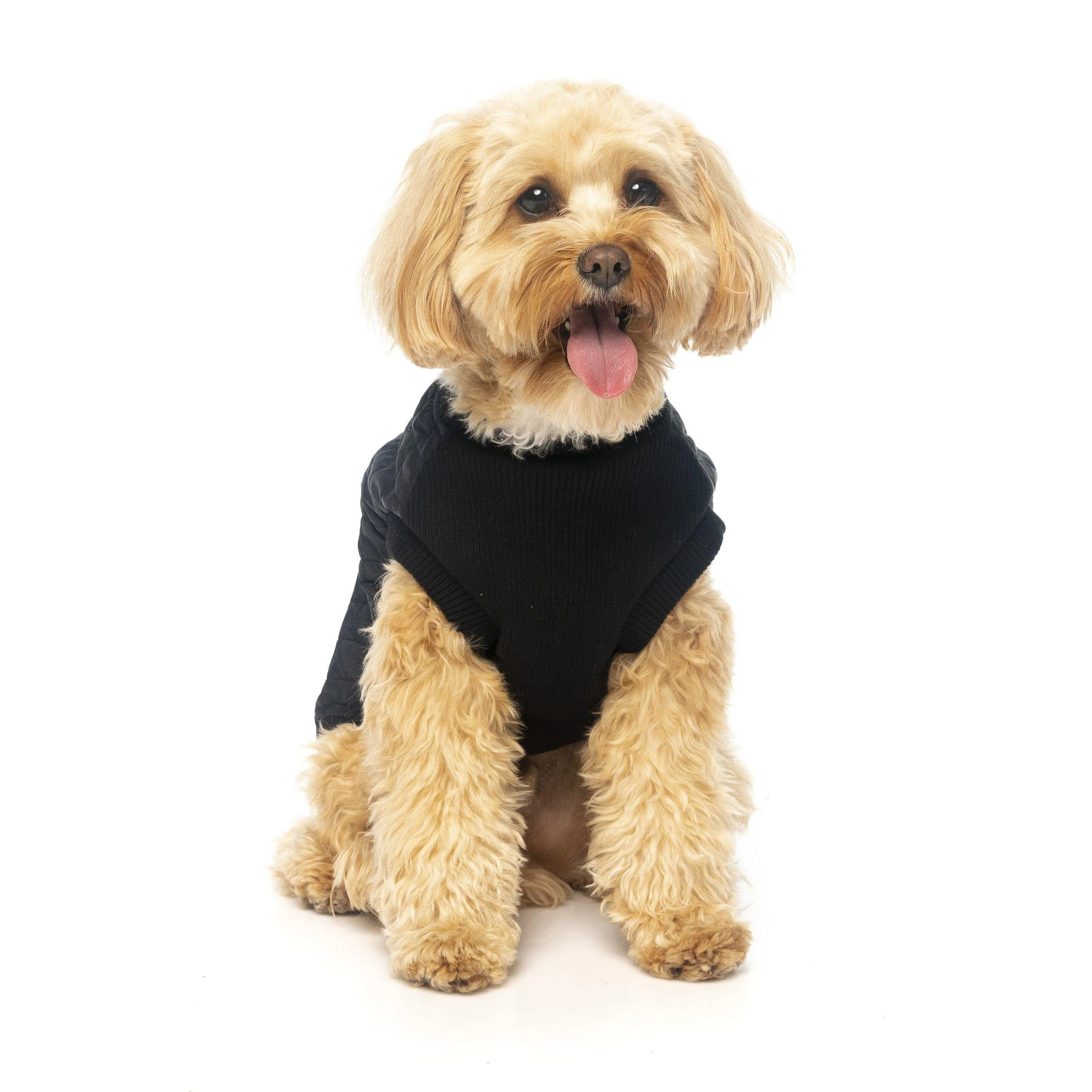 FuzzYard | MacGyver Harness Dog Jacket - Black