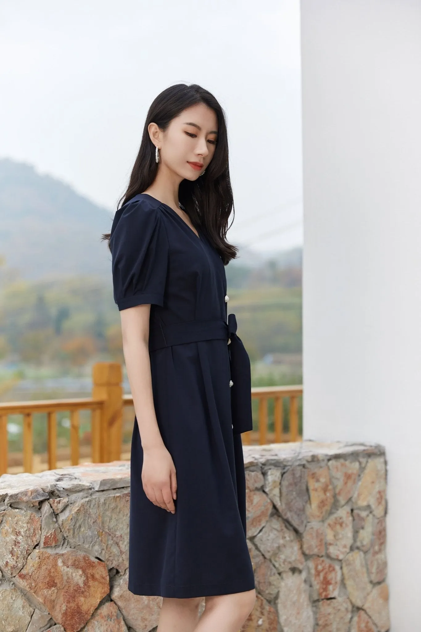 Navy Blue Puff Sleeve V Neck Dress